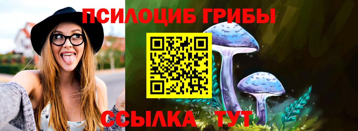 Алейск  Псилоцибиновые грибы мицелий  Вход с VPN 